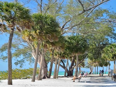 Things To Do https://annamariaisland.icnd-cdn.com/images/thingstodo/FFFA41AD-F482-45E0-A2BA6FD7CDA878A6157957770_3928608767182454_2720398952052577590_o.jpg