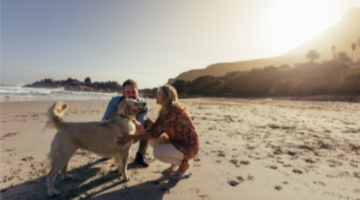 Anna Maria Island Pet Friendly Vacation Rentals